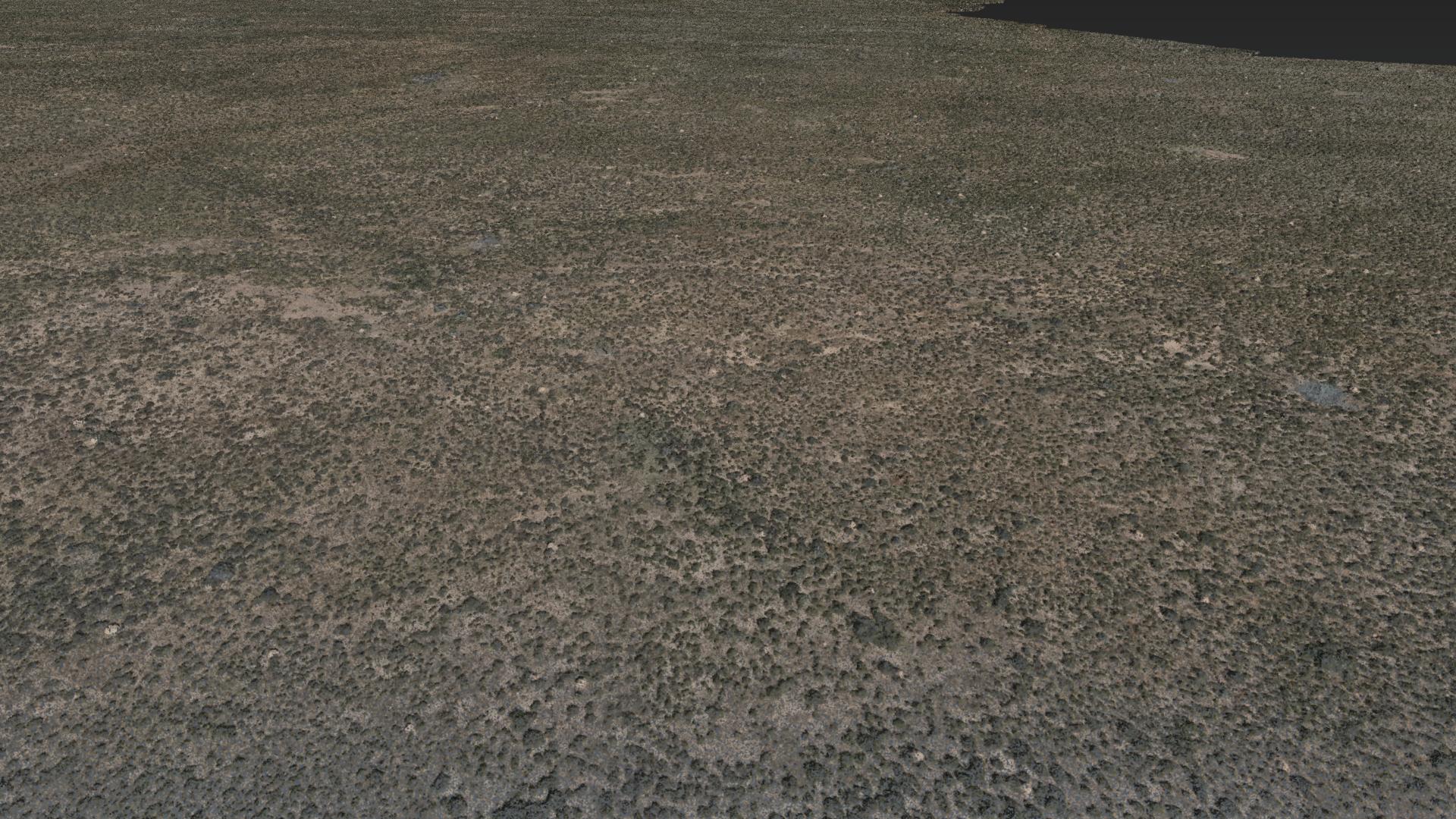 earlier capture of the same site